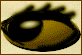 [ Eye ]